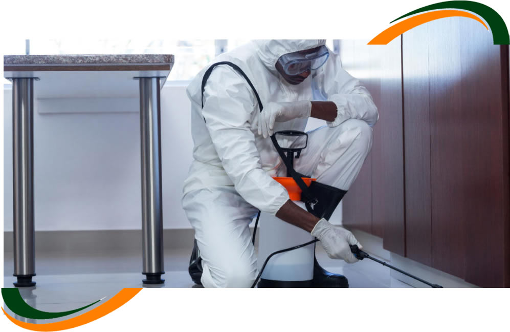 Controle de Cupins – Sentricon