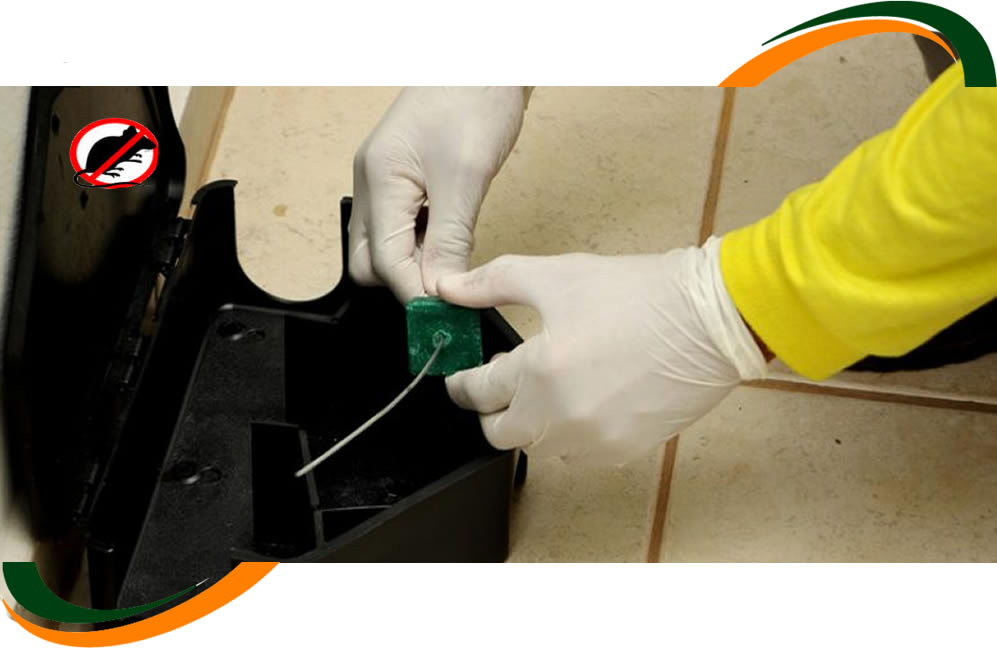 Serviço de Desratização